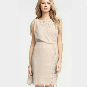 Ann Taylor Natural Sheath Lace Dress